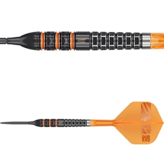 Raymond van Barneveld RVB 95K 95% SP 23 gram